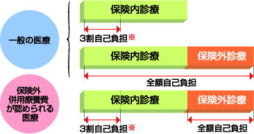 保険外併用療養費と差額の自己負担